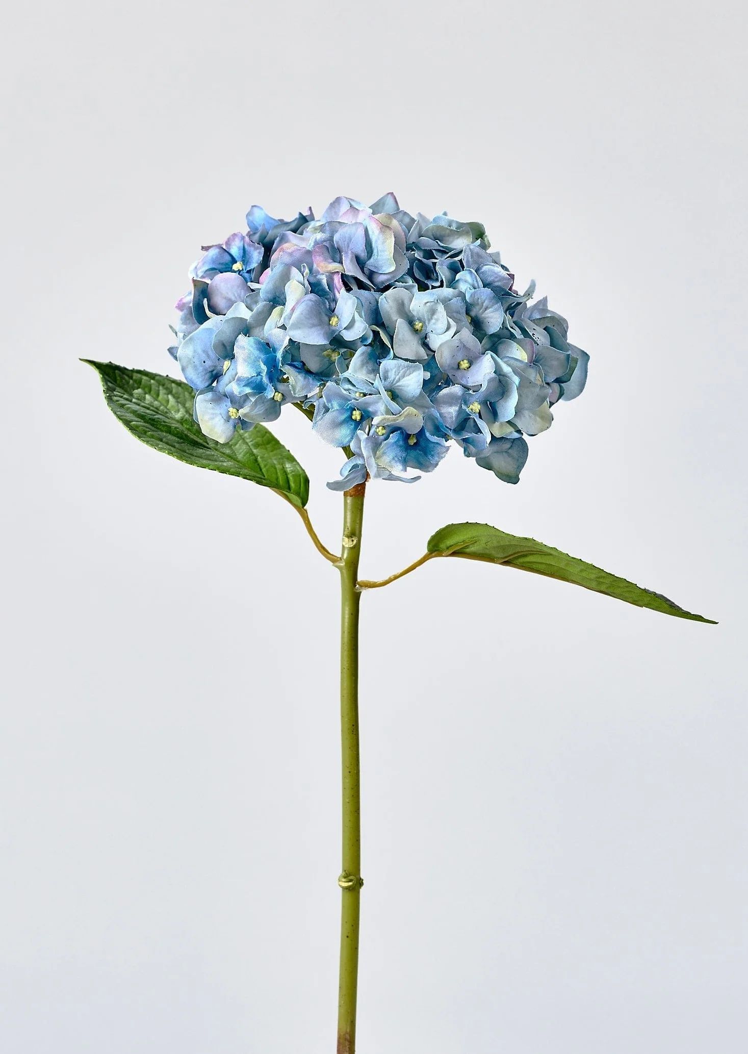 Blue Hydrangea Stem | Shop Natural Touch Flowers at Afloral.com | Afloral
