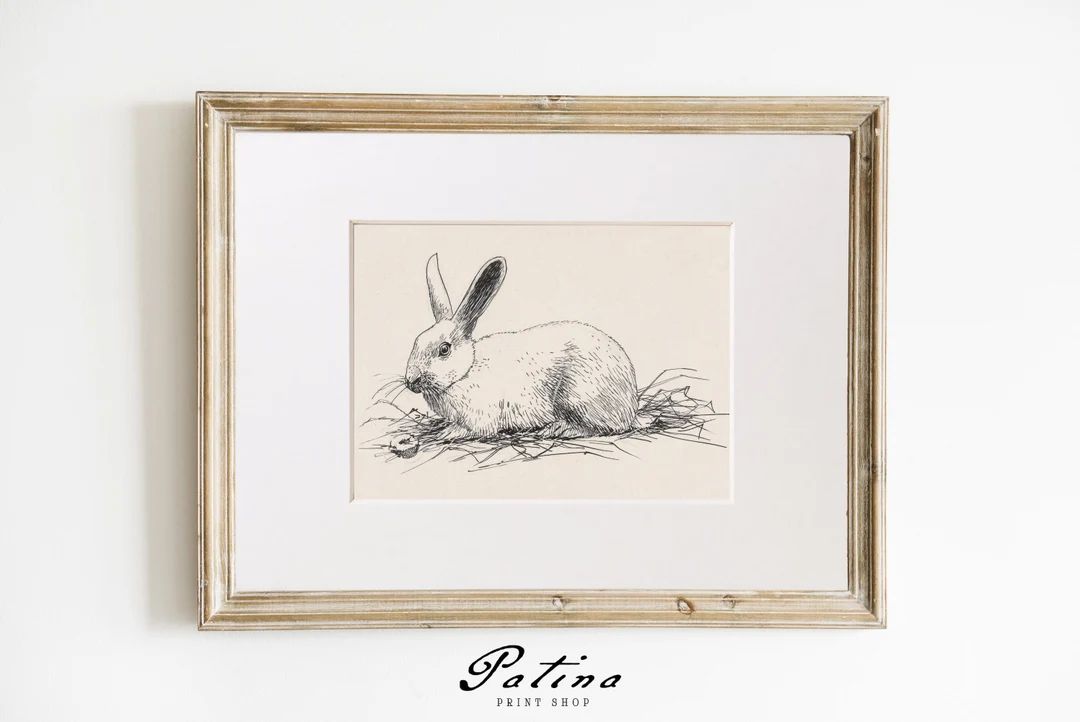 Vintage Rabbit Drawing | Antique Sketch | Vintage Animal Art | Black & White Drawing | Nursery De... | Etsy (US)