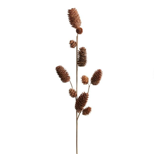 Natural Pinecone Spray | World Market