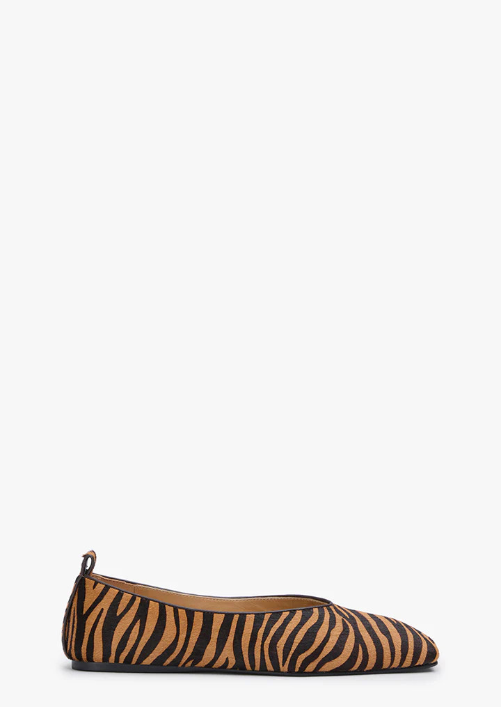 Hazel Brown Zebra | Tony Bianco US