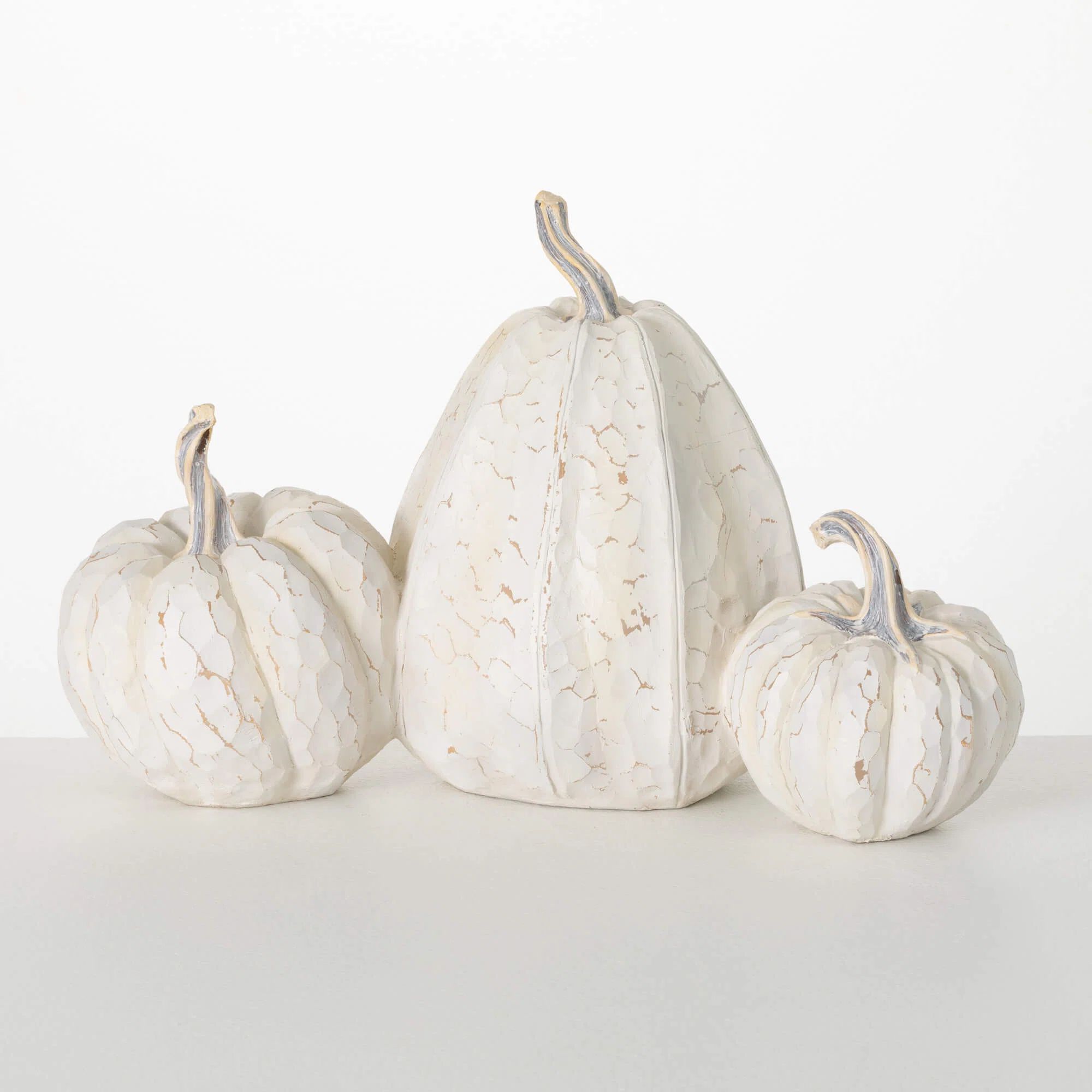 Twyla 20" Rustic White Pumpkin Trio Decor, Cream | Wayfair North America