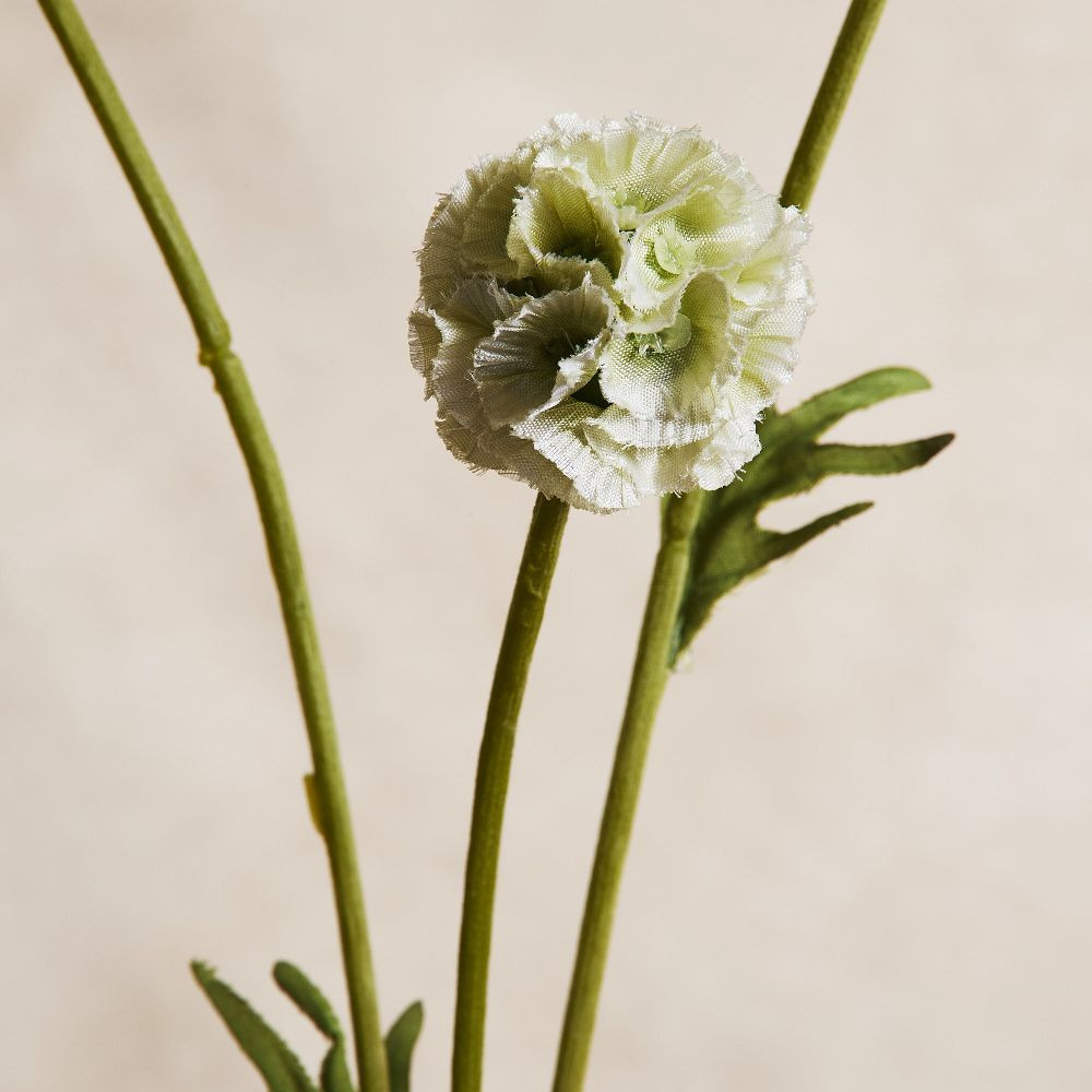 Faux Scabiosa Stem | West Elm (US)