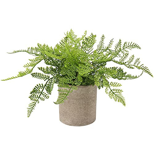 Small Fake Plant Potted Plants Artificial Decor Plastic Boston Ferns Plant Faux Plants in Pots for Home Living Room Bedroom Desk Bathroom Shelf Farmhouse Decoration | Amazon (US)