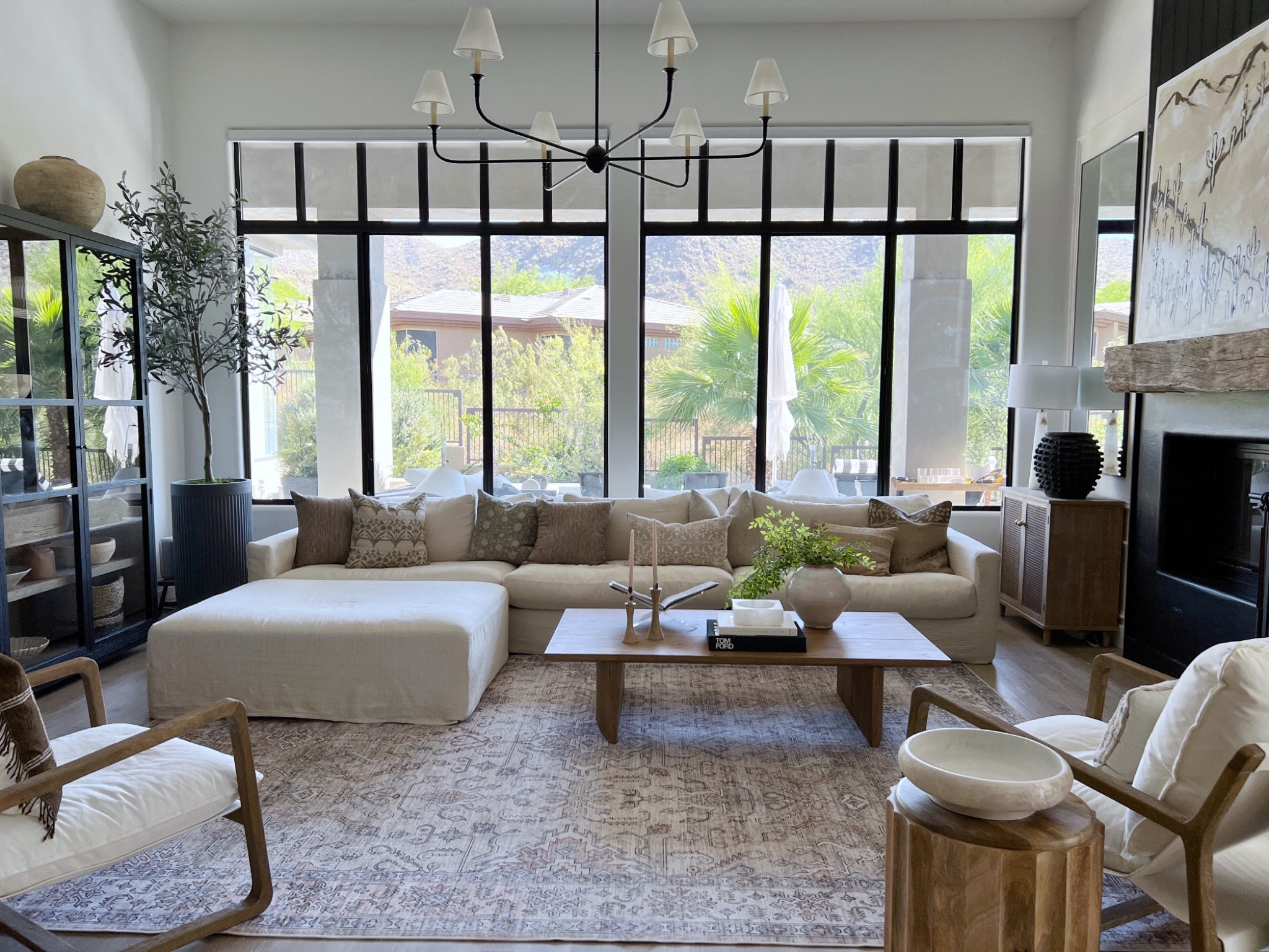 Living room inspo 
Area rug 
Coffee table 
Lighting 
Olive tree 

#LTKhome