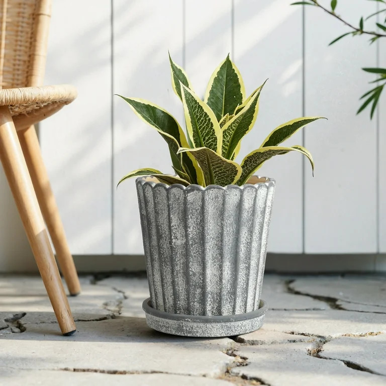 My Texas House 8 inch Shell Gray Ceramic Planter Pot | Walmart (US)
