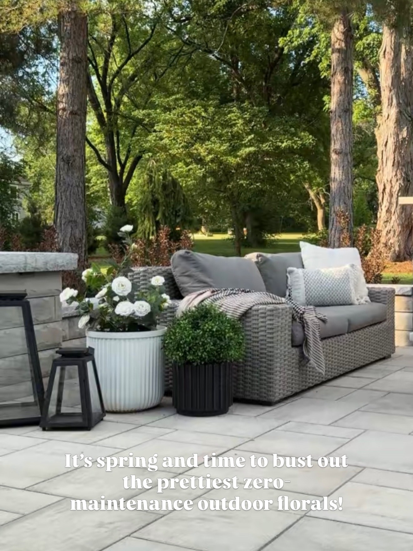 These faux boxwoods and Camellia plants have been favorites for years! We use these on our front and back  patios and they always look amazing!

#LTKHome #LTKSeasonal #LTKSaleAlert