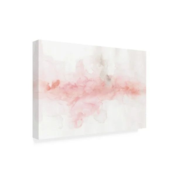 Trademark Fine Art 'Rainbow Seeds Abstract Blush Gray Crop' Canvas Art by Lisa Audit | Walmart (US)