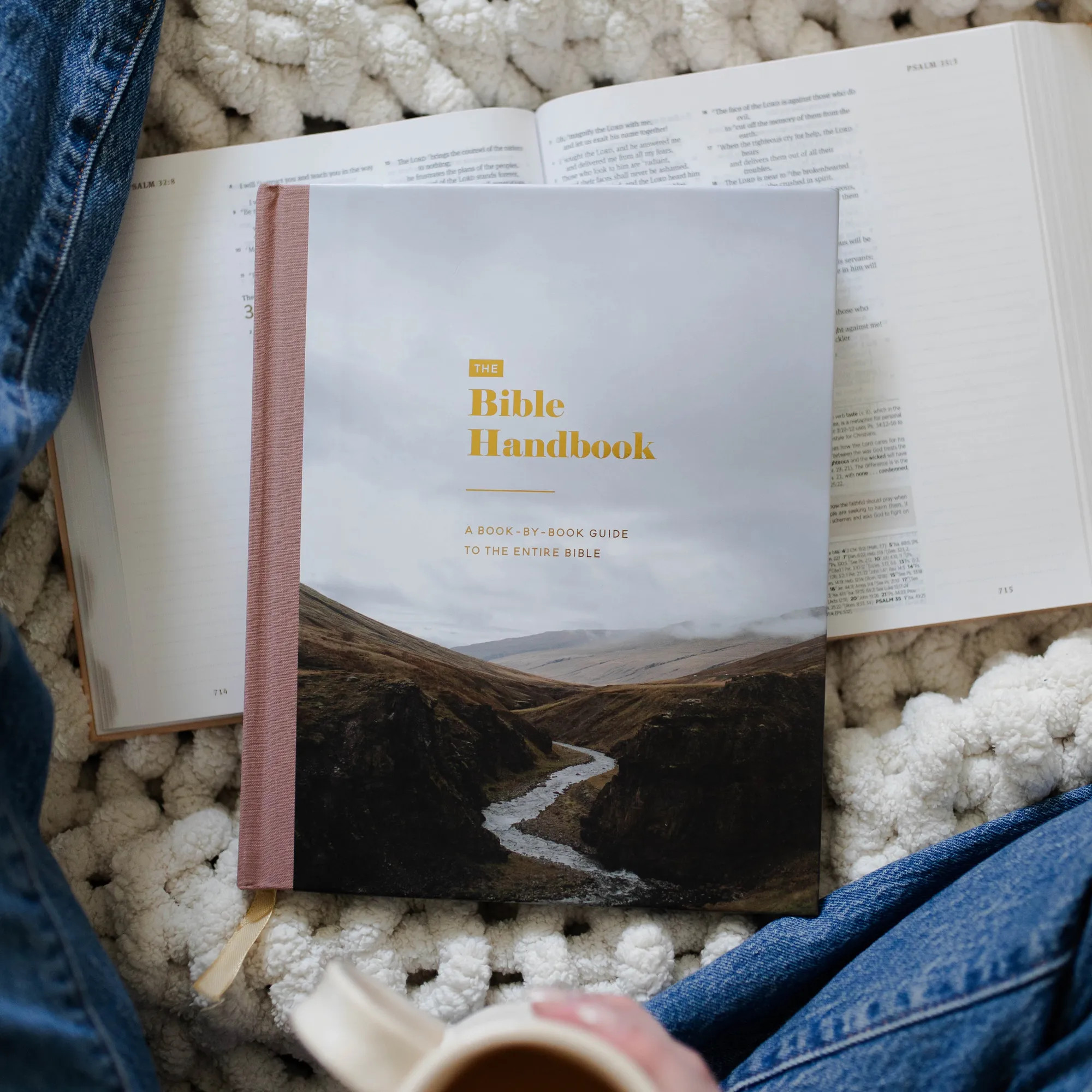 The Bible Handbook | The Daily Grace Co.