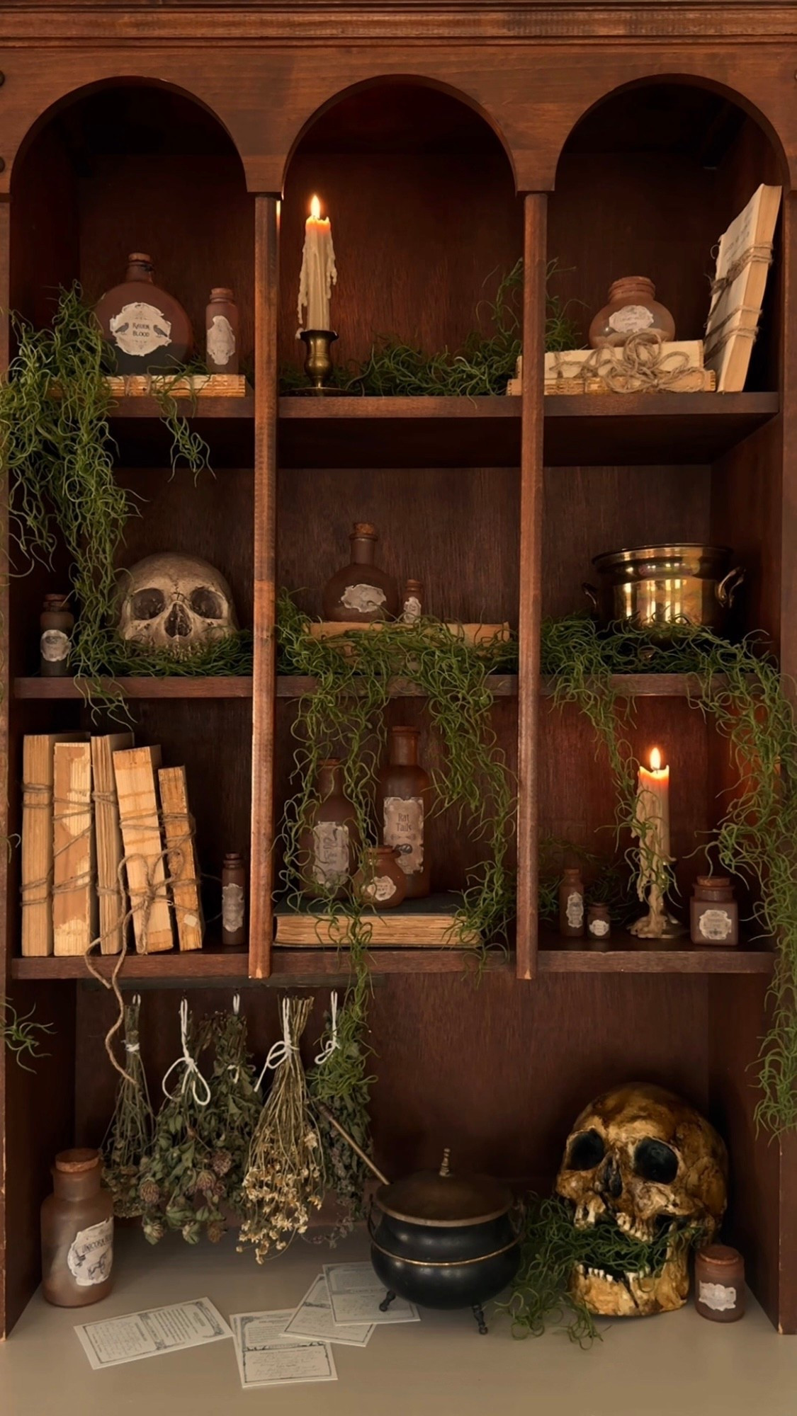 Happy Season of the Witch 🍂🔮🕯️

#halloween #halloweendecor #halloweenvibes #spookyseason #spookyszn #fall #autumn #fallvibes #autumnvibes #codeorange #fallaesthetic #autumnaesthetic #falldecor #homedecor #interiordesign #witchy #witchyaesthetic #halloweendecorideas

#LTKSeasonal #LTKHome #LTKFindsUnder100