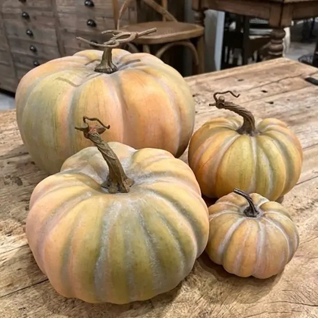 Twisted Stem Harvest Pumpkin | Antique Farm House