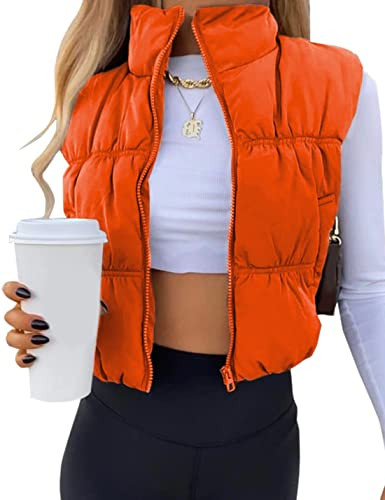 Athlisan Womens Cropped Puffer Vest Zip Up Stand Collar Lightweight Sleeveless Padded Gilet with ... | Amazon (US)