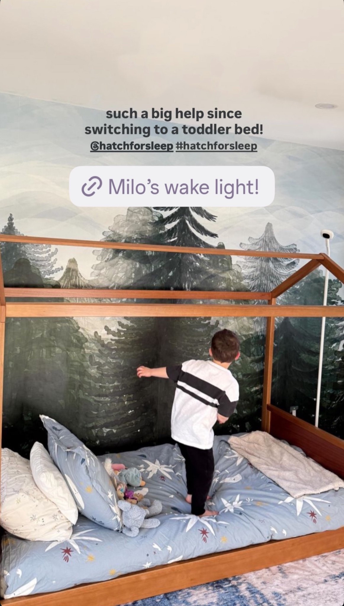 Toddler boy room essentials 💙

Bed + bedding + mural from Nestig

#LTKKids #LTKmomlife