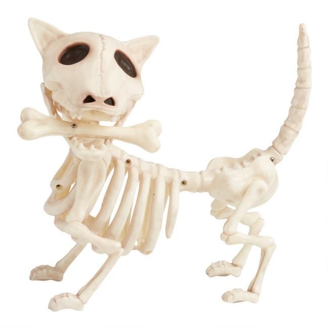 Antique Ivory Dog Skeleton Halloween Decor | World Market