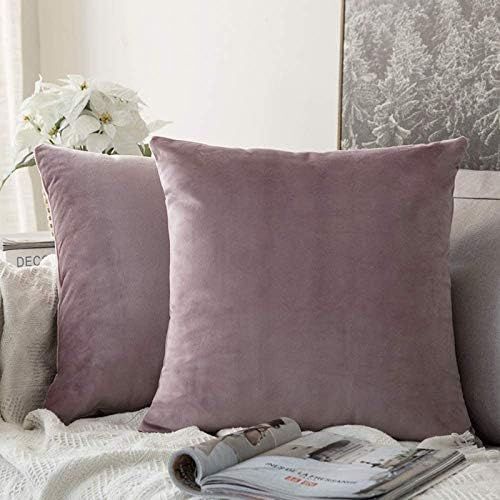 MIULEE Pack of 2, Velvet Soft Solid Decorative Square Throw Pillow Covers Set Cushion Cases Pillo... | Amazon (US)