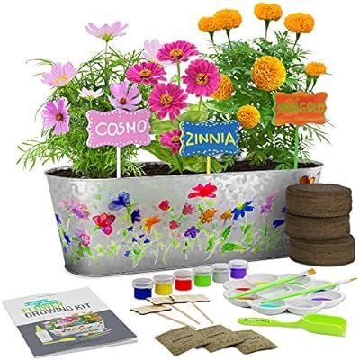 Paint & Plant Flower Growing Kit - Kids Gardening Science Gifts for Girls and Boys Ages 4 5 6 7 8... | Amazon (US)