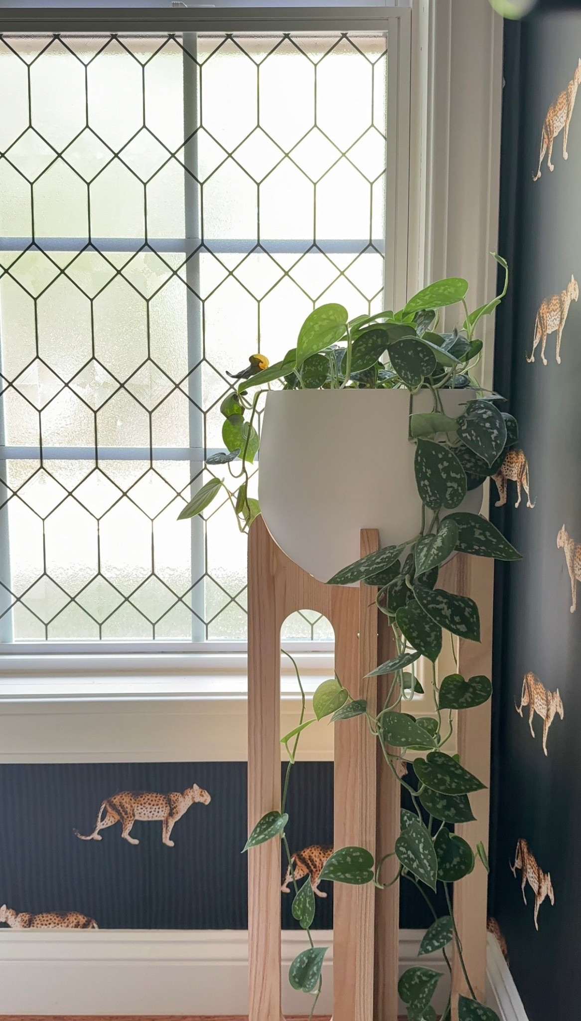 Obsessed with this window film from Artscape — it gives privacy AND looks like real etched glass. Total game changer for the powder bath and so affordable! 🪟
#WindowFilm #Artscape #PowderBathroom #BudgetDecor #HomeHack #SmallBathroomIdeas #LTKHome #DIYDecor