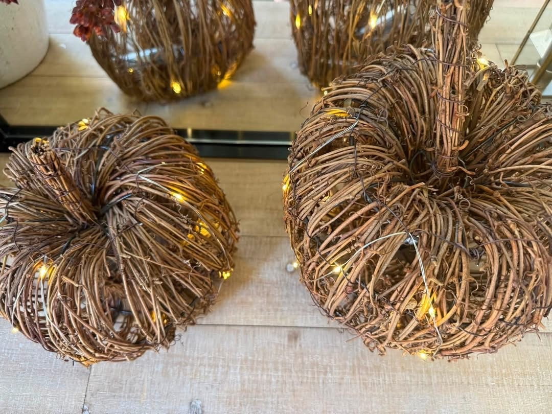 These pre lit grapevine pumpkins are now 50% off!

#LTKSeasonal #LTKSaleAlert #LTKHome