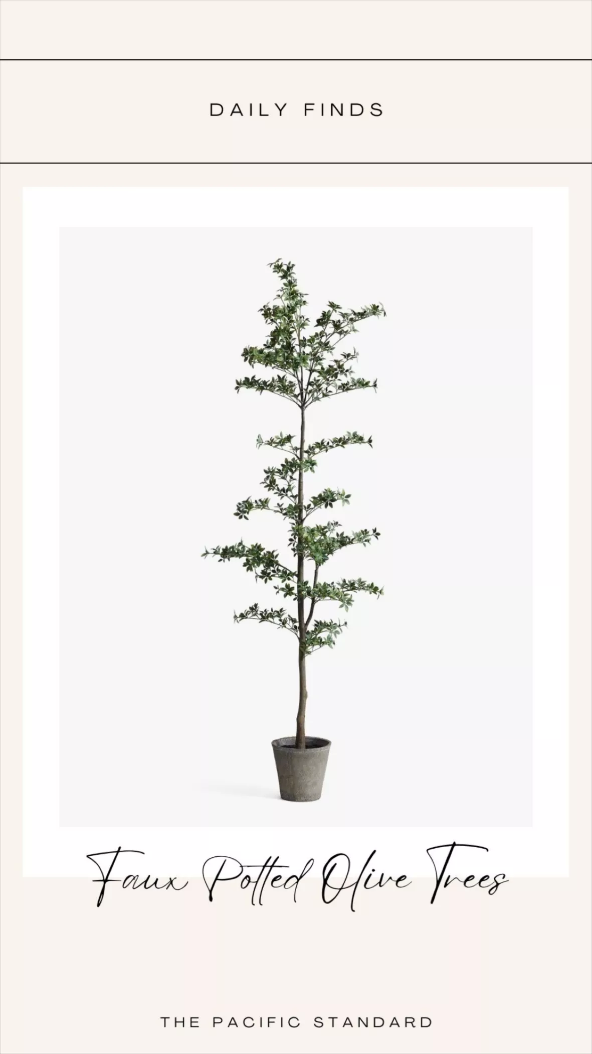 Faux Potted Olive Trees curated on LTK