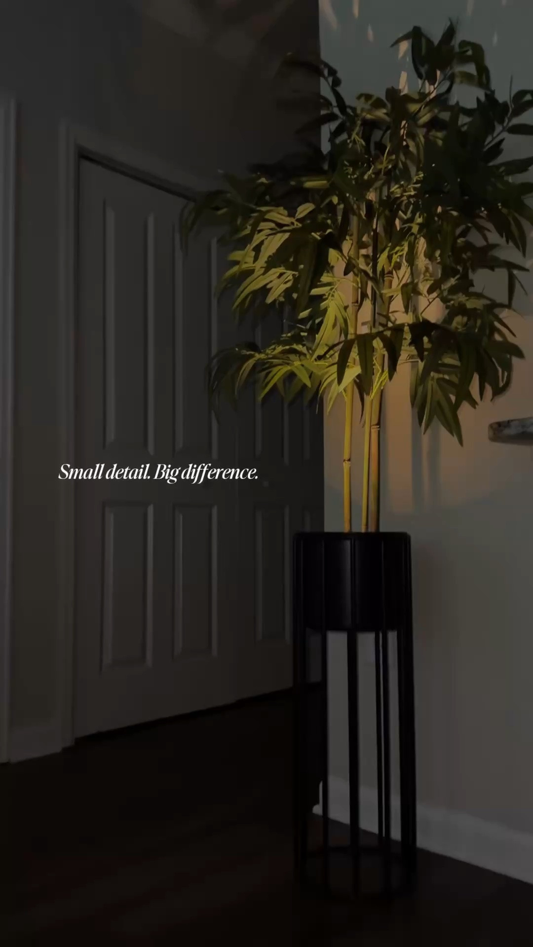 This simple lighting trick changed the entire vibe of my home. 🌿✨

Sometimes it's the smallest upgrades that make the biggest impact. This plant light instantly turned an ordinary corner into a cozy, designer-inspired space that feels warm and inviting day or night.

#HomeDecorFinds
#CozyHomeVibes
#InteriorStyling
#AmazonHomeFinds

#LTKHome #LTKHome #LTKvlog #LTKdayinmylife