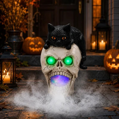 Halloween Skull Decor with Black Cat, Fog Effect and LED Lights, Resin Decor | Wayfair North America