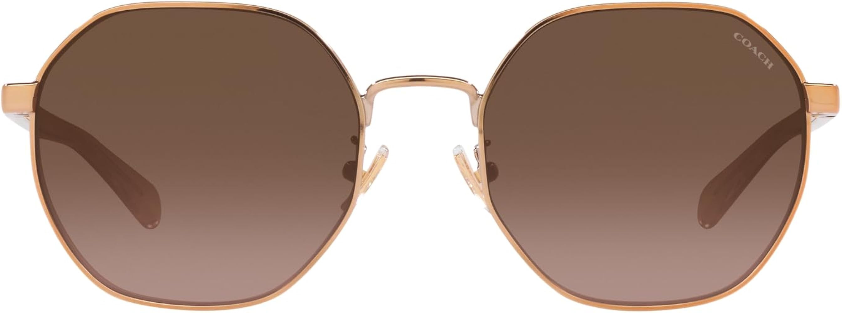 Coach Women's Hc7147 Hexagonal Sunglasses | Amazon (US)