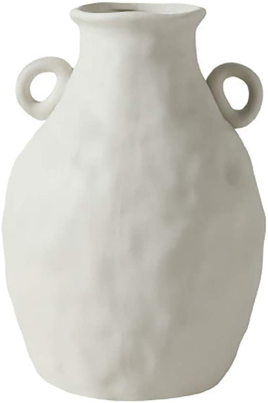 Sunormi Small White Ceramic Simply Artistic Flowers Vases with Handles Sketches Forms Flowers Vas... | Amazon (US)