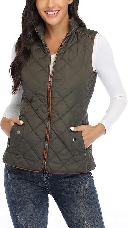 Anienaya Women's Quilted Vest Lightweight Padded Gilet Stand Collar Sleeveless Zip Up Puffer Warm... | Amazon (US)