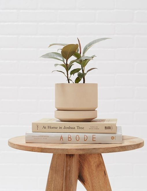 LBE Design Ceramic Indoor / Outdoor Planter, Oatmeal | Lulu and Georgia 