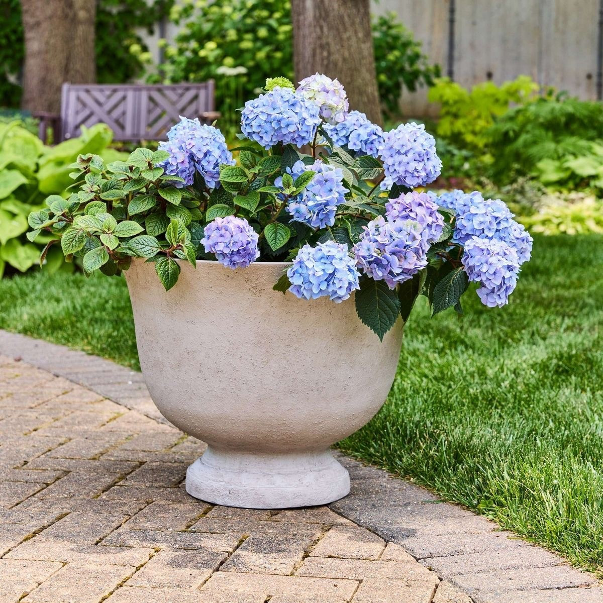 Walmart planters that look straight out of Pottery Barn 😍🌿
Stunning, high end vibes at prices that make it an easy yes 🤍

The quickest way to upgrade your home and make everything feel fresh, styled, and elevated ✨
Run before these sell out 💨

#WalmartFinds #HomeGlowUp #PlanterStyle #LuxuryForLess

#LTKFestival #LTKxAerie #LTKMothersDay