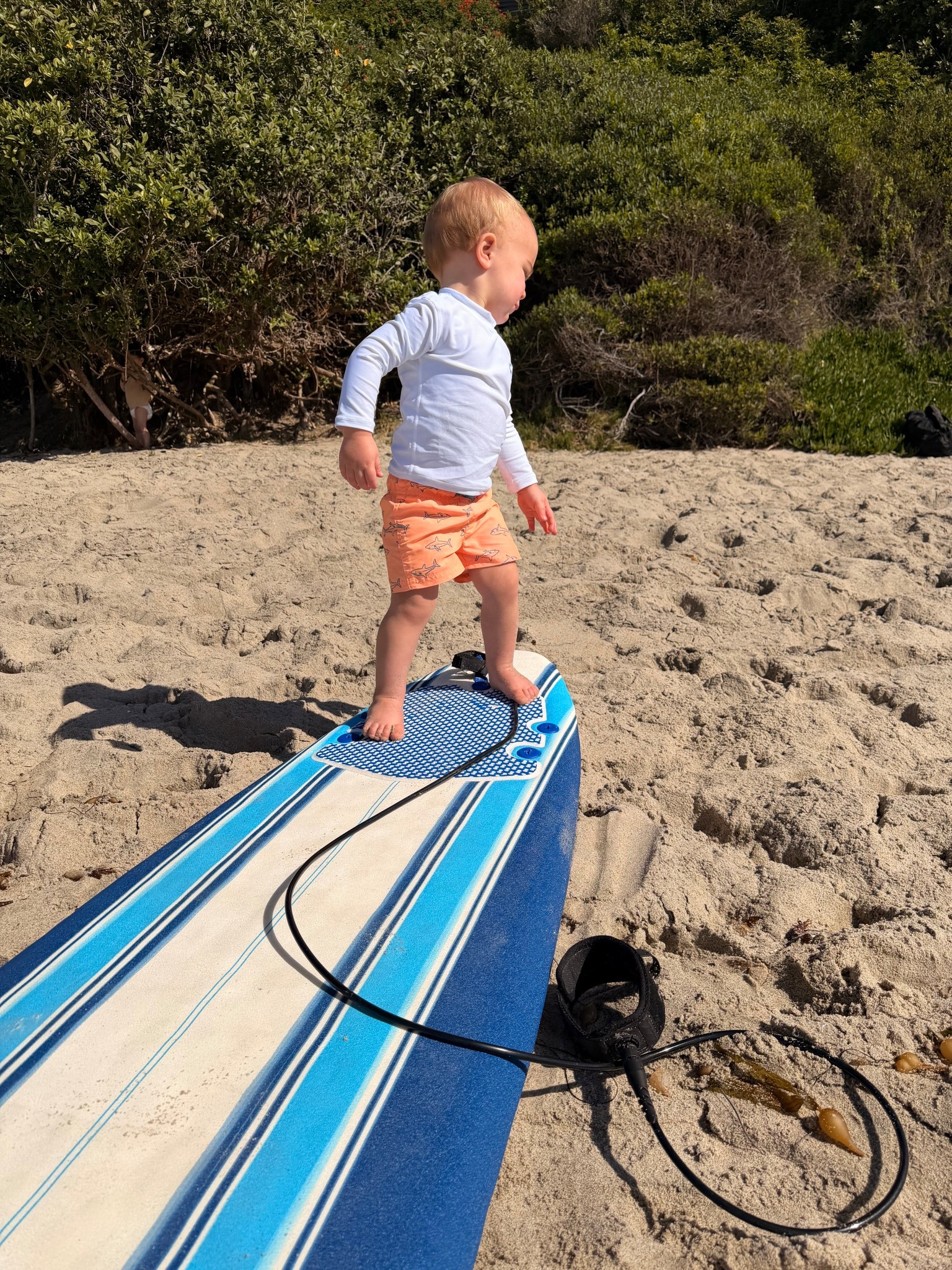 toddler beach attire | toddler boy beach 

#LTKKids