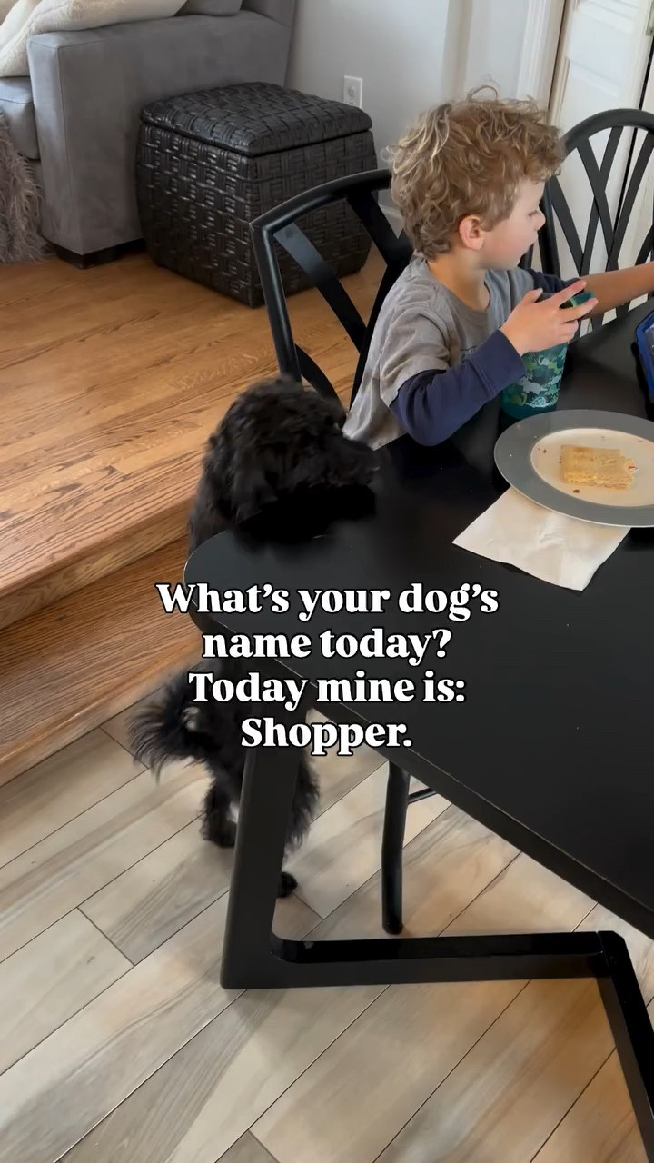 He doesn’t beg. He “samples.” 😭🐾
What are you calling your dog today?