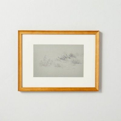 12"x16" Desert Sketch Framed Wall Art Cream/Gray - Hearth & Hand™ with Magnolia | Target
