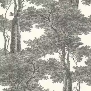 Advantage Scout Black Forest Paper Strippable Roll (Covers 56.4 sq. ft.)-2773-605419 - The Home D... | The Home Depot