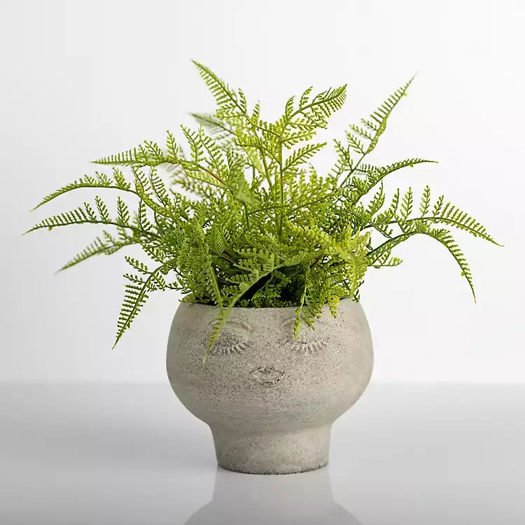 Lace Fern Plant in Face Planter | Kirkland's Home