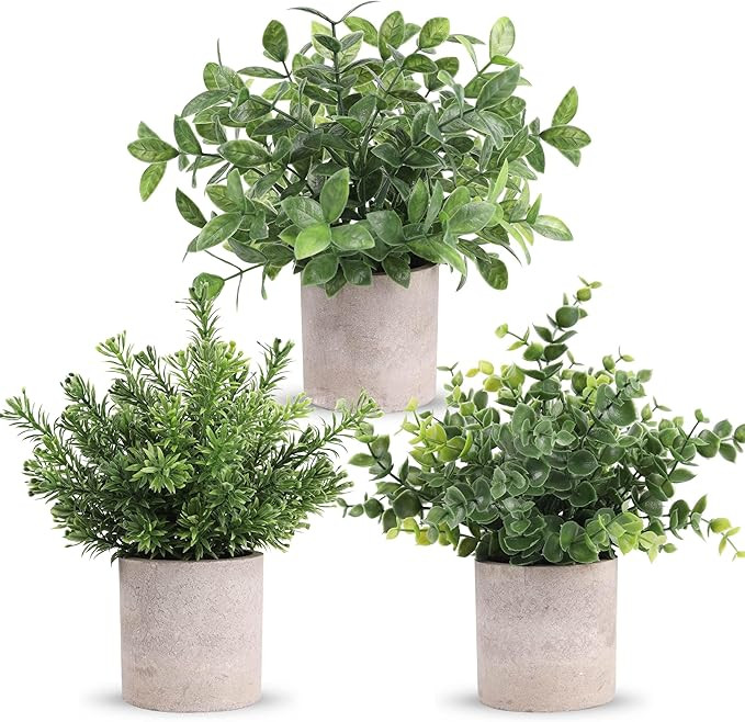 Der Rose 3 Pack Mini Potted Fake Plants Artificial Plastic Eucalyptus Plants Topiaries for Home O... | Amazon (US)