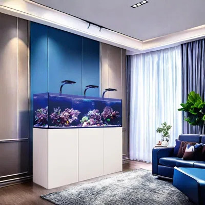 Simple Modern Rectangular Eco Aquarium Tank | Wayfair North America