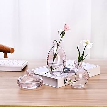 Pink Glass Bud Vase, Modern Decorative Small Mini Flowers Vases Short Minimalist Aesthetic Home D... | Amazon (US)