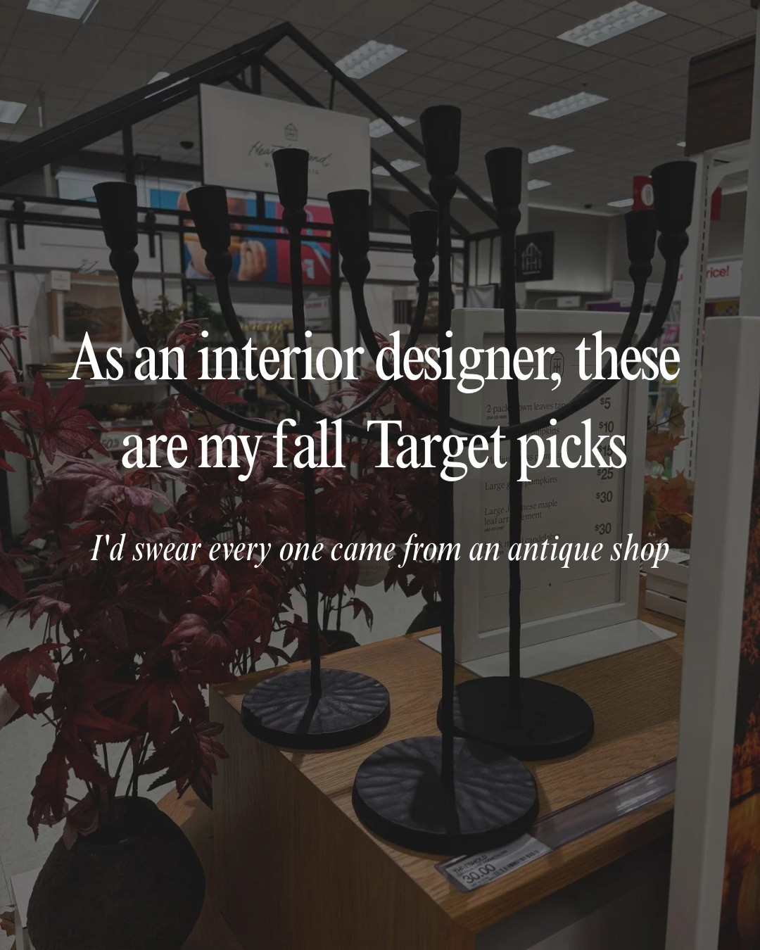 I was shocked by Target's fall decor section! So many antique-inspired decor pieces. 

So excited to share them with all with you!

#LTKHome #LTKSeasonal