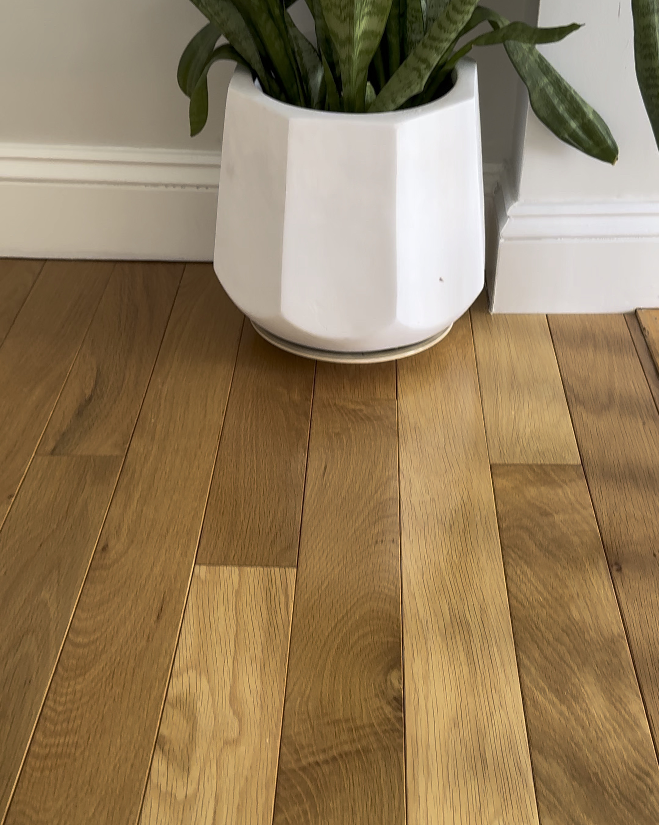 Puddle mirror
Modern mirror
Entryway styling 


#LTKHome