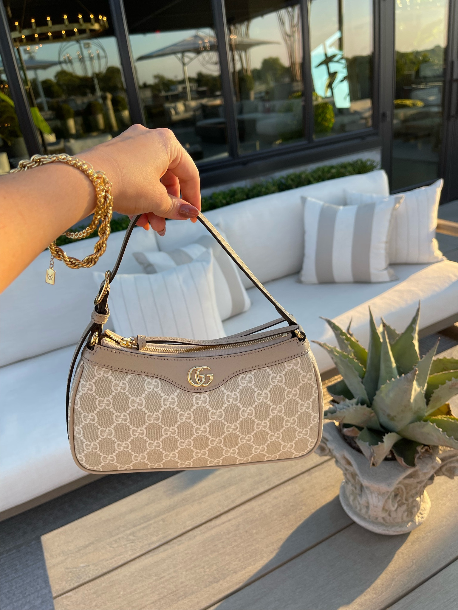 Ophidia small new arrivals