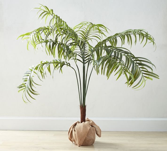 Faux Potted Palm Tree | Pottery Barn (US)