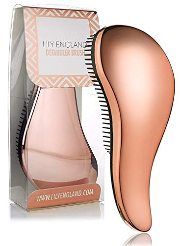 Detangling Brush. Detangler Hairbrush for Curly, Thick, Natural, Straight, Fine, Wet or Dry Hair ... | Amazon (US)