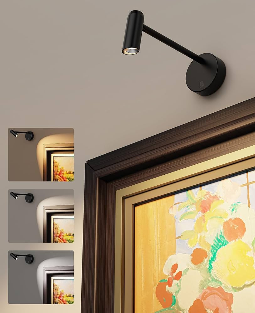 Picture Light for Wall, Battery Operated Art Light for Paintings CCT Dimmable Recharging Gallery ... | Amazon (US)