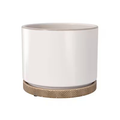 allen + roth  Medium (8-25-Quart) 5.98-in W x 5.98-in H White Ceramic Planter with Drainage Hole... | Lowe's