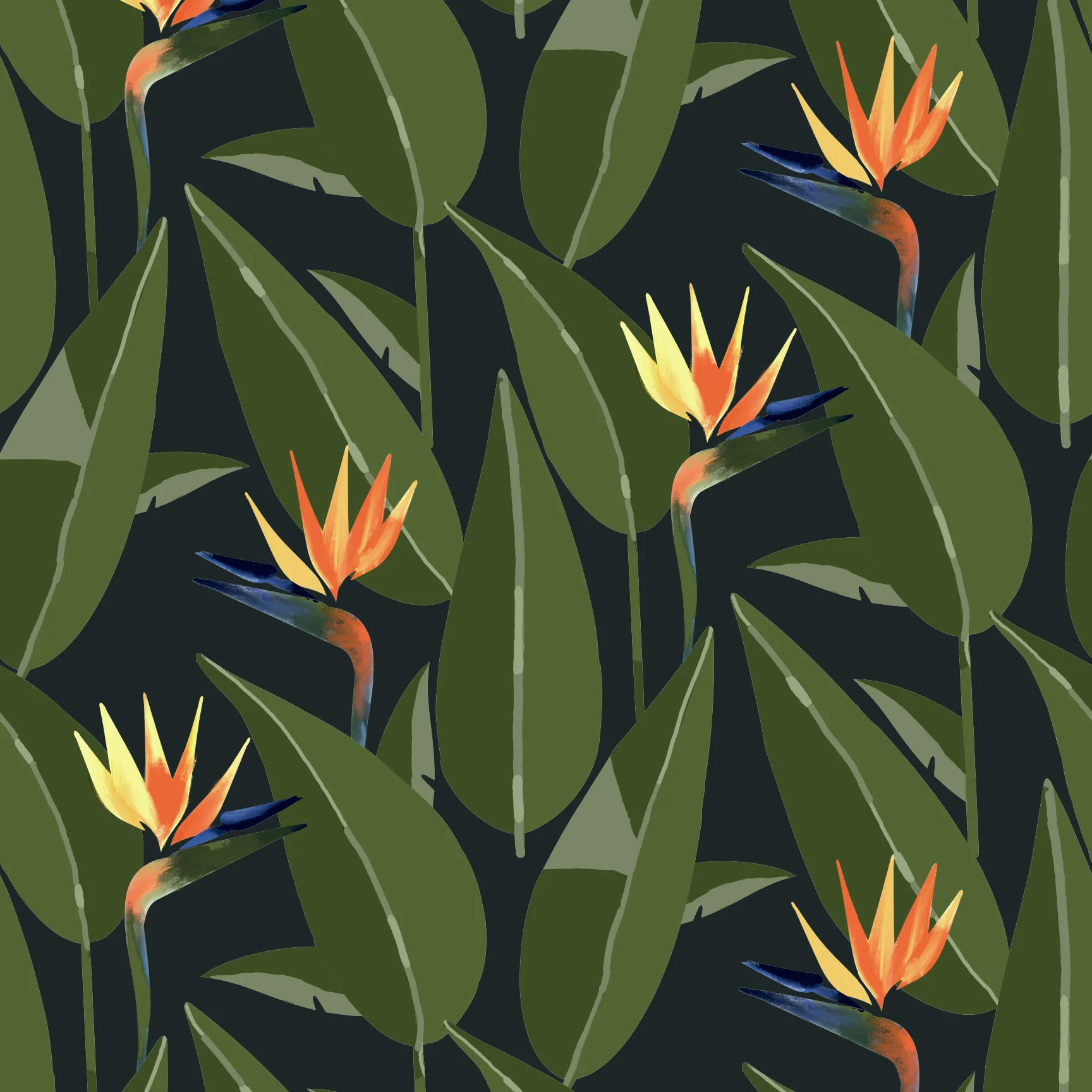 Birds of Paradise - Black Wallpaper | Mitchell Black