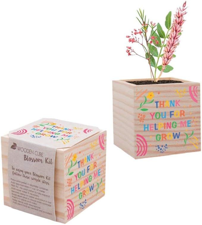 Plant Cube Appreciation Gift - Wildflower Seed Packet, Peat Pellet, and 3-inch Wooden Planter - T... | Amazon (US)