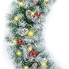 Best Choice Products 9ft Pre-Lit Holiday Pre-Decorated Christmas Garland for Stairs, Fireplace, D... | Amazon (US)