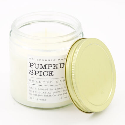 Pumpkin & Spice Scented Candle 312g | TK Maxx
