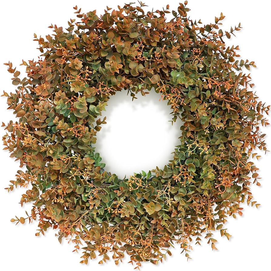 26" Fall Wreath for Front Door - Large Artificial Eucalyptus Leaves with Orange Seeds Outdoor Wre... | Amazon (US)