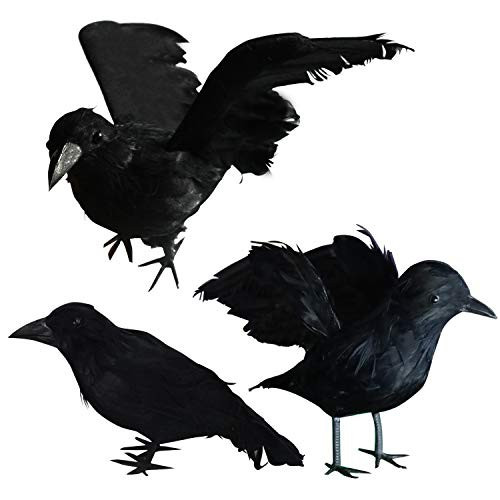 FUNPENY Halloween Black Feathered Crows, 3 Pack Black Crows with Real Feather Halloween Decoration for Indoor Outdoor | Amazon (US)